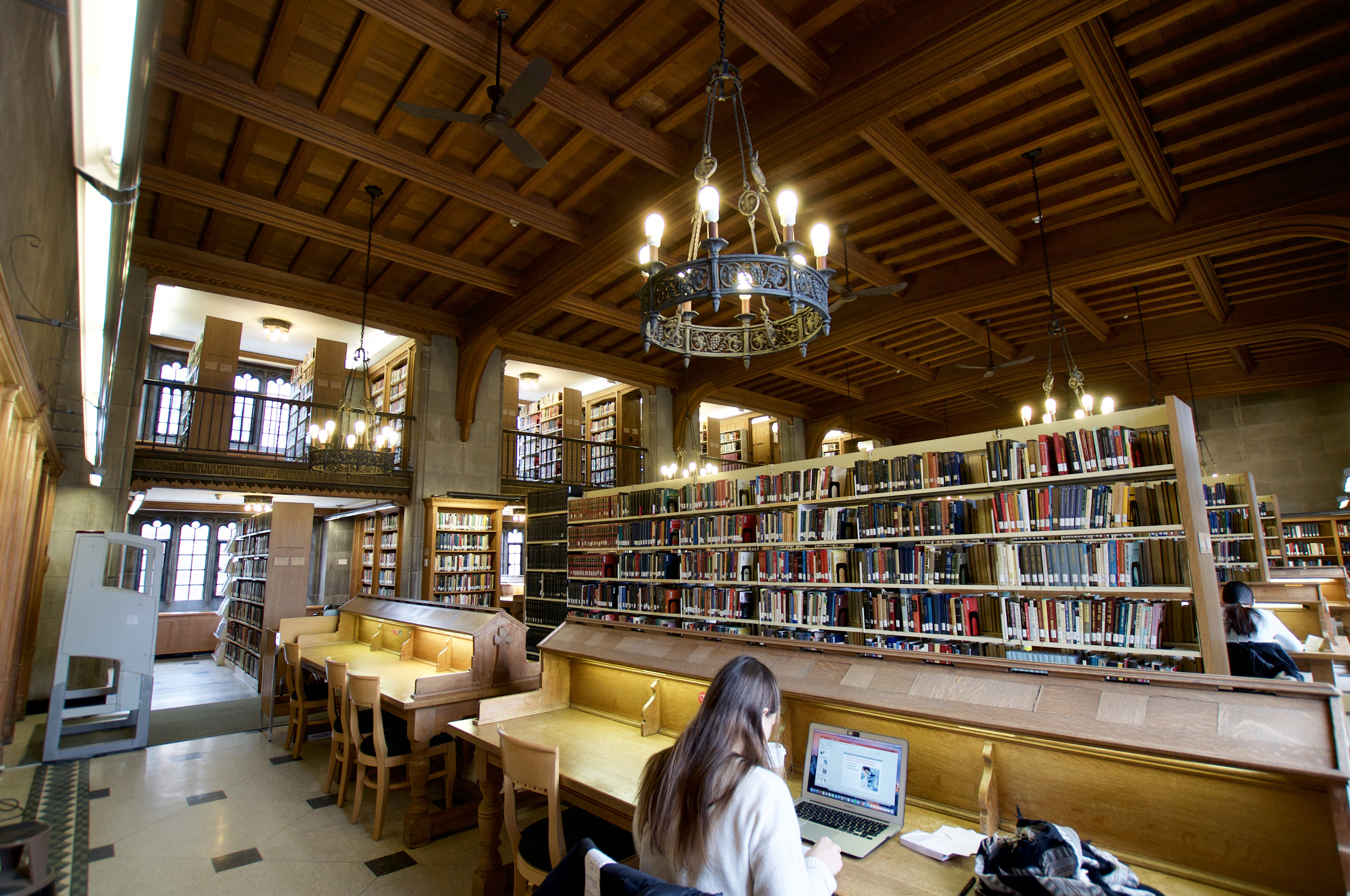 Student Studying in Library